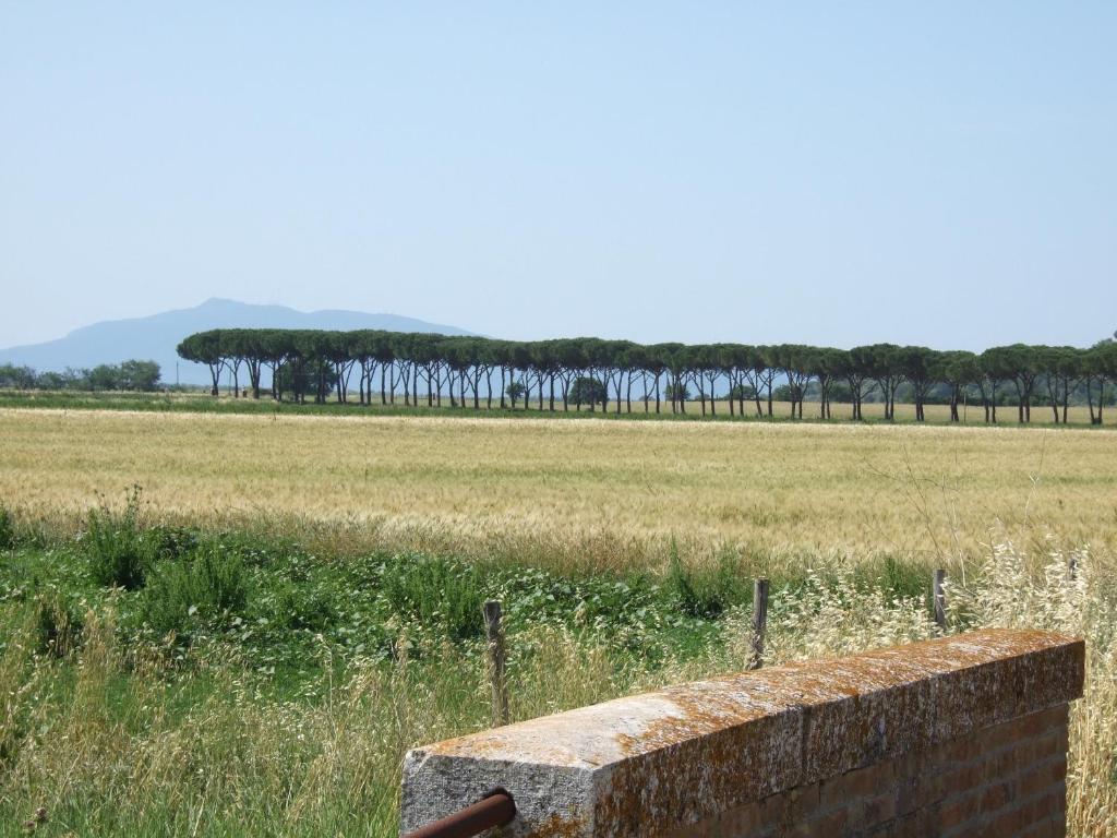 Villa Agriturismo Tattarini à Fonteblanda Extérieur photo